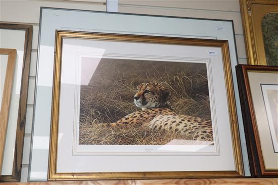 Gary Hodges (b. 1954), Pride and Joy, limited edition print, signed and numbered 716/1250 and three other prints of big cats